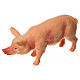 Cerdo resina para el belén de 10 a 12 cm. s2