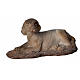 Cane in resina presepi 15 cm s1
