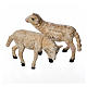 Sheep, 2 pieces for a 8cm Nativity. s1