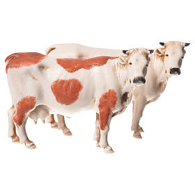 Vacas 2 peças para Presépio Moranduzzo com figuras de altura média 10 cm