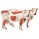 Vacas 2 peças para Presépio Moranduzzo com figuras de altura média 10 cm s1