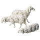 Nativity Scene Sheep 4cm for Moranduzzo 10cm, 3 pieces s2