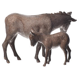 Nativity Scene donkey and colt by Moranduzzo 8cm