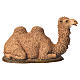 Camelo de joelhos para presépio Moranduzzo com figuras de altura média 8 cm s1