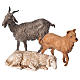 Ovejas, cabra y perro 6 figuras para Belén de Altura Media 13 cm Moranduzzo s3