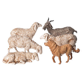 Ovelhas cabra e cão para Presépio Moranduzzo com figuras de altura média 13 cm