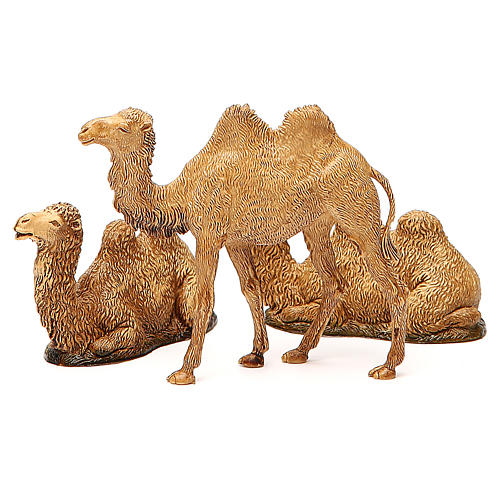 Camels 5.5cm -9.5 cm, 3pcs for 8cm-10cm Moranduzzo collection 2