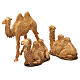 Camels 5.5cm -9.5 cm, 3pcs for 8cm-10cm Moranduzzo collection s6