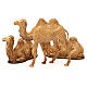 Camellos 3 figuras belén Moranduzzo 8-10 cm s7