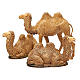 Wielbłądy 3 szt. szopka Moranduzzo 8-10 cm s3