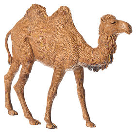 Standing camel 9.5cm, nativity figurine for Moranduzzo 10cm