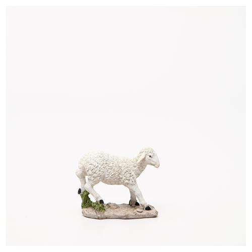 Schaf aus Harz mit Basis für Krippe 18cm 3