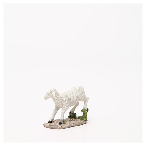 Schaf aus Harz mit Basis für Krippe 18cm 5