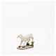 Schaf aus Harz mit Basis für Krippe 18cm s5