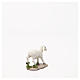 Sheep nativity figurine 18cm, assorted models s6