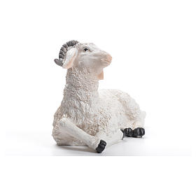 Carneiro para figuras do Presépio de altura média 30-40 cm s2