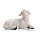 Sheep nativity figurine in resin 30/40cm s1