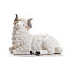 Sheep nativity figurine in resin 50cm s1