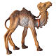Camel for nativity 9cm s2