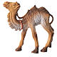 Camel for nativity 9cm s1