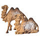 Kamel 2 Stücke für Krippe 6cm s1
