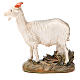 Little goat in painted resin, 12cm Martino Landi Nativity s2