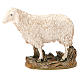 Sheep looking up in painted resin, 12cm Martino Landi Nativity s1