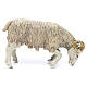 Ram in resin for nativities of 25 cm, 2 pieces s2