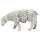 Schafe aus Kunstharz Set zu 4 Stück für 25 cm Krippe s2