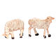 Mouton en résine crèche 8 cm 6 pcs modèles assortis s3