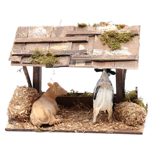 Cows in roofed barn for nativity scene 4