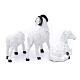 Schafe aus Kunstharz Set zu 3 Stück für 13 cm Krippe s2