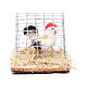 Cage with cock, Nativity Scene figurine 3 cm assorted  s1