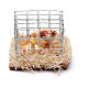 Cage avec 2 poules h réelle 2,5 cm crèche diff. mod s1