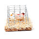 Cage with hen, Nativity Scene figurine 2.5 cm assorted  s1