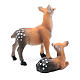 Nativity figurines, fawns in resin measuring 3 cm, 2 pieces s2