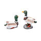 Anatre resina presepe 2 pz h reale 2 cm s2