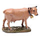 Vaca em resina para presépio Linha Martino Landi com figuras de pastor de altura média 10 cm s1