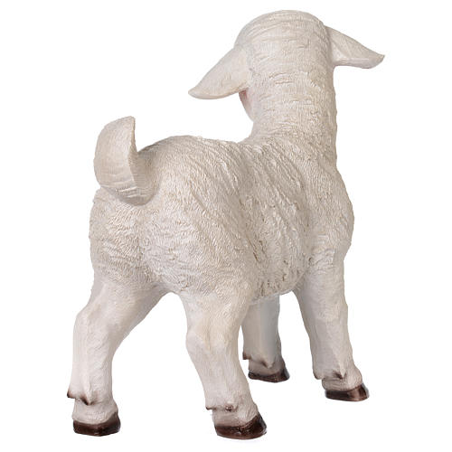 Lamb in resin for for 80-100 cm nativity scene 5