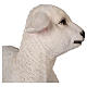 Lamb in resin for for 80-100 cm nativity scene s3