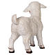 Lamb in resin for for 80-100 cm nativity scene s5