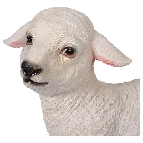 Resin lamb for 80-100 cm nativity scene 2