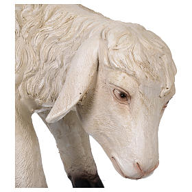 Sheep with low head in resin for 80-100 cm nativity scene