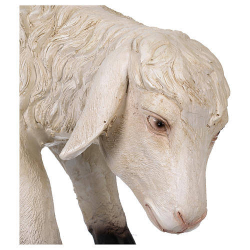 Sheep with low head in resin for 80-100 cm nativity scene 2
