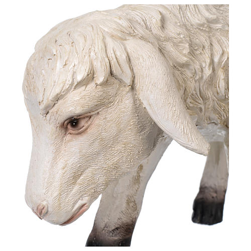 Sheep with low head in resin for 80-100 cm nativity scene 4