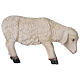 Sheep with low head in resin for 80-100 cm nativity scene s1