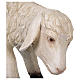 Sheep with low head in resin for 80-100 cm nativity scene s2