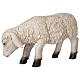 Sheep with low head in resin for 80-100 cm nativity scene s3