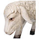 Sheep with low head in resin for 80-100 cm nativity scene s4