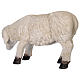 Sheep with low head in resin for 80-100 cm nativity scene s6